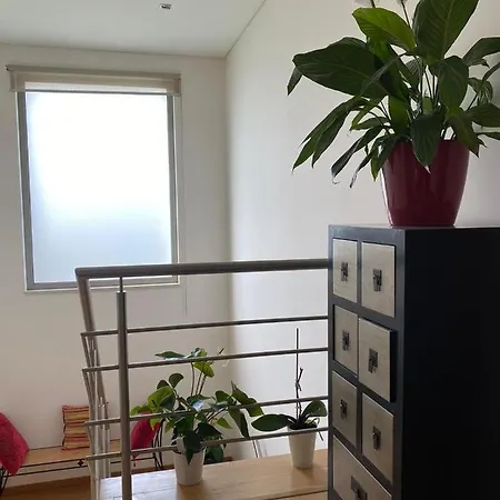 Casa Do Vale Vintem Konukevi