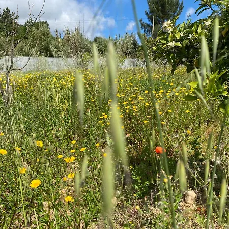 Casa Do Vale Vintem Gasthof *