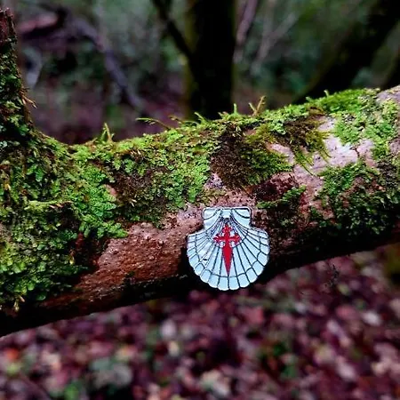 Casa Do Vale Vintem Konukevi Condeixa-a-Nova