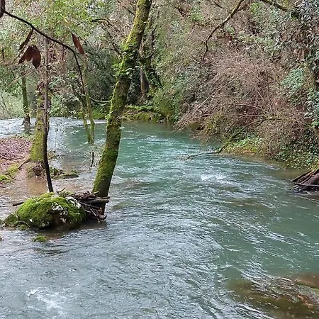 Casa Do Vale Vintem Condeixa-a-Nova