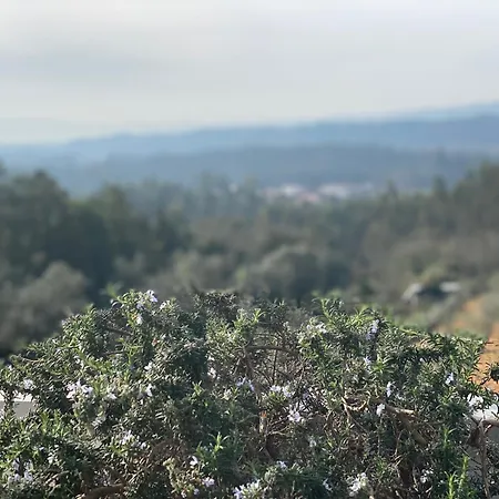 Konukevi Casa Do Vale Vintem Condeixa-a-Nova