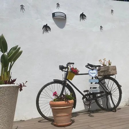 Casa Do Vale Vintem * Condeixa-a-Nova