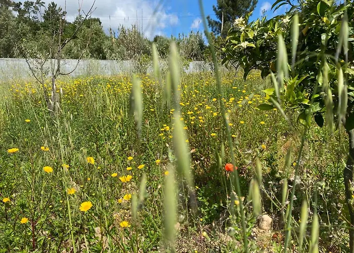 Casa Do Vale Vintem Gasthof *