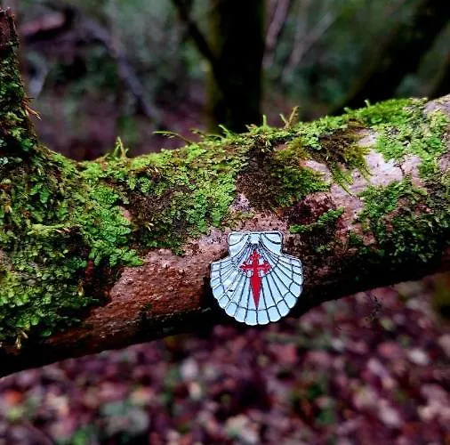 Casa Do Vale Vintém Maison d'hôtes Condeixa-a-Nova