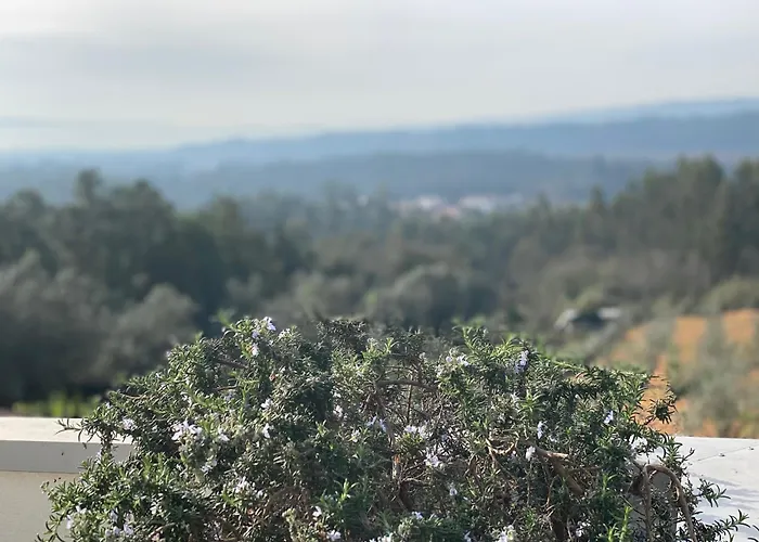 Maison d'hôtes Casa Do Vale Vintém Condeixa-a-Nova