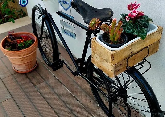 Casa Do Vale Vintém * Condeixa-a-Nova